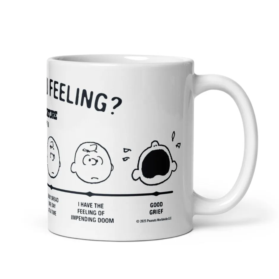 Hot Charlie Brown How Are You Feeling Mug Peanuts Gang | Mugs