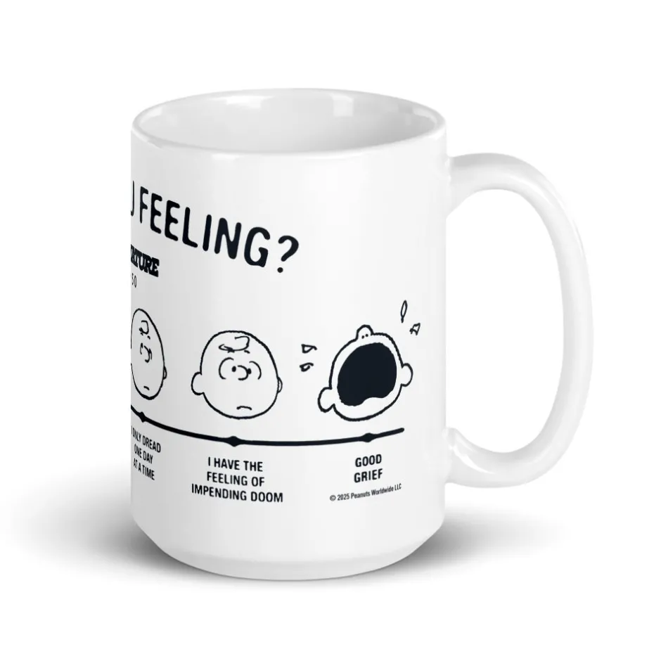 Hot Charlie Brown How Are You Feeling Mug Peanuts Gang | Mugs