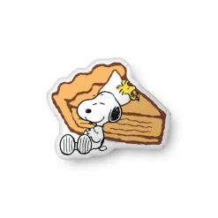 Best Snoopy and Woodstock Pumpkin Pie Pillow Woodstock | Snoopy