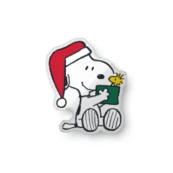 Best Snoopy Gift Pillow Snoopy