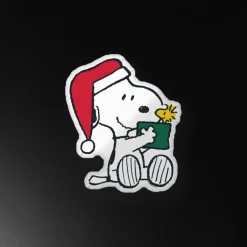 Best Snoopy Gift Pillow Snoopy