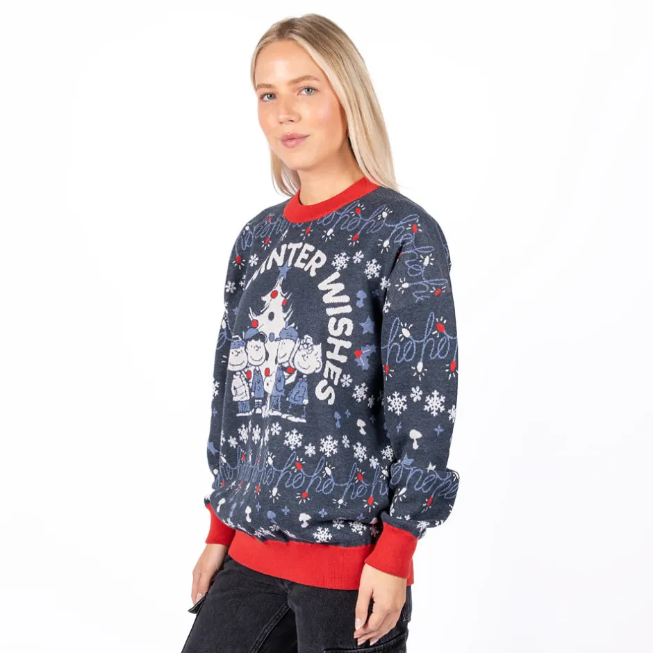 New Warm Winter Wishes Holiday Sweater Peanuts Gang | Hoodies & Sweatshirts