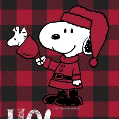 Discount Snoopy & Woodstock Ho Ho Ho Stocking Woodstock | Snoopy
