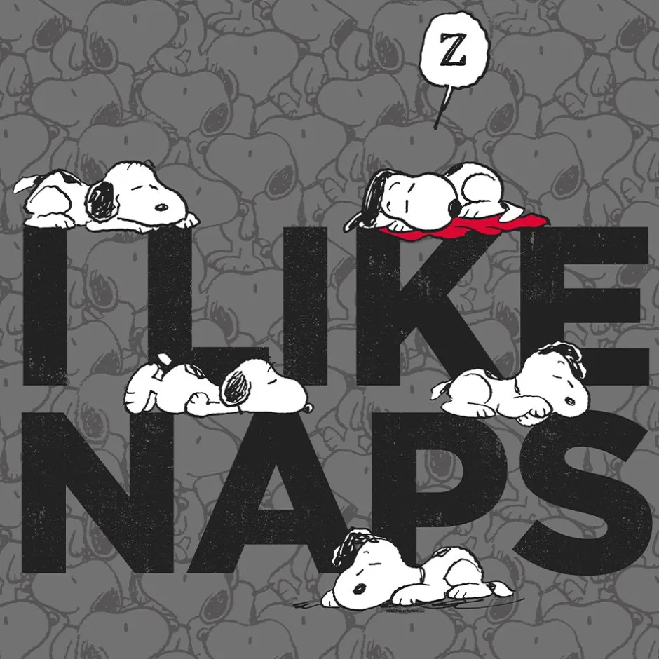 Fashion Snoopy I Like Naps Pet Bed Snoopy | Pet
