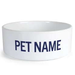 Clearance Snoopy Top Dog Personalized Large Pet Bowl Snoopy | Pet